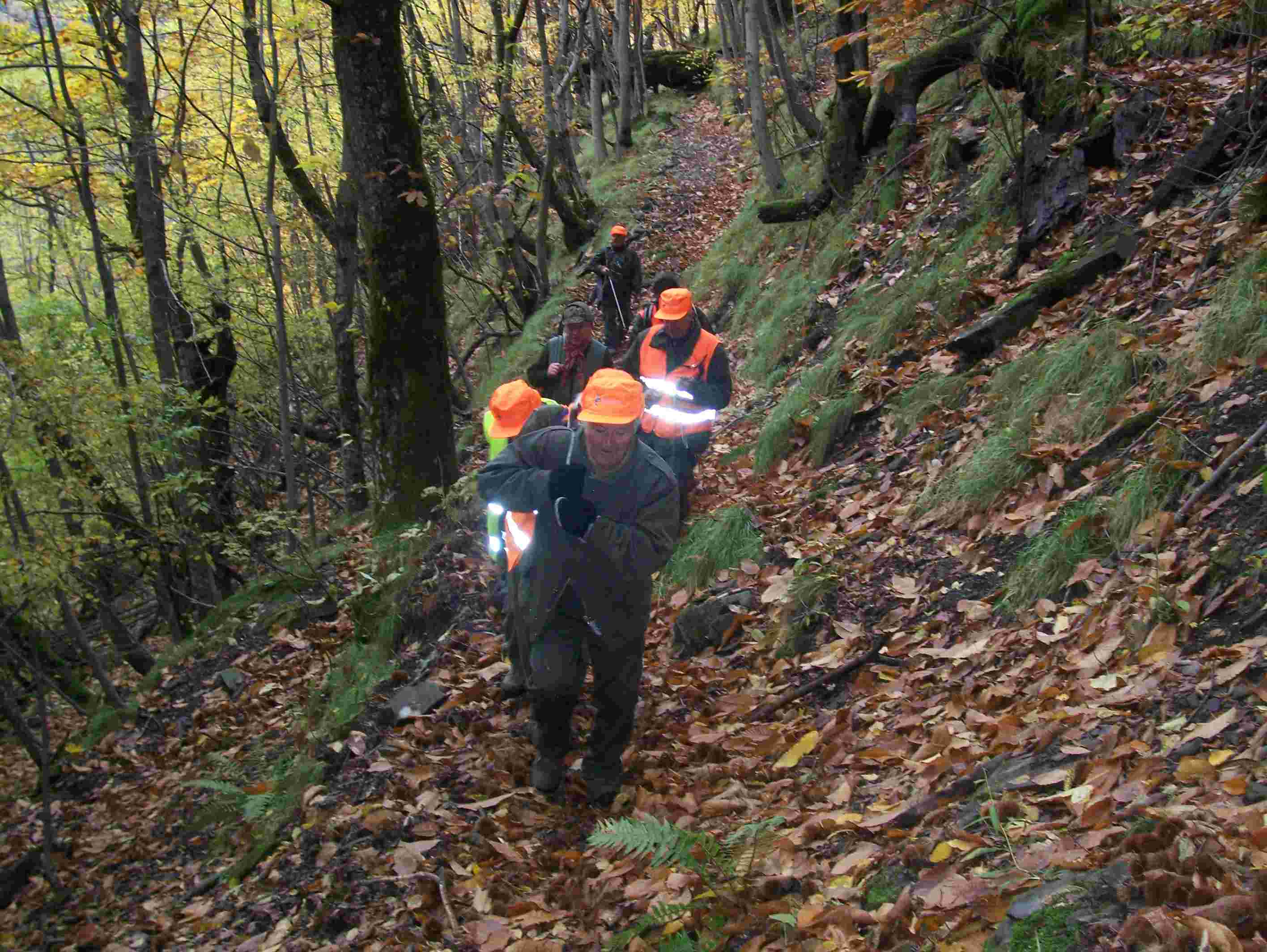  Image name: 29 Caccia.JPG 
 width: 2832 pixel 
 height: 2128 pixel 
 Size: 252985 bytes 
 Click to enlarge 